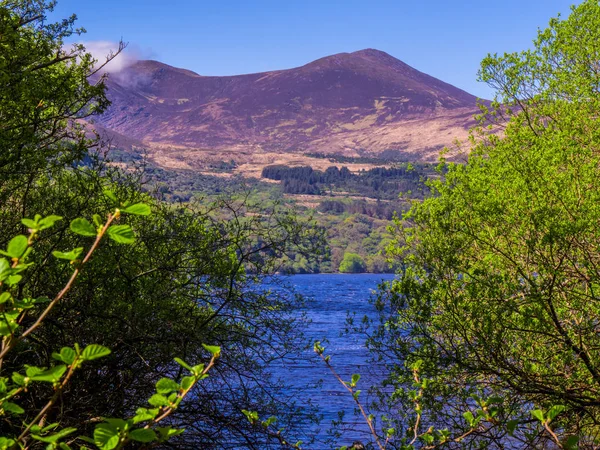 Killarney nationalpark - ein schöner ort in irland — Stockfoto