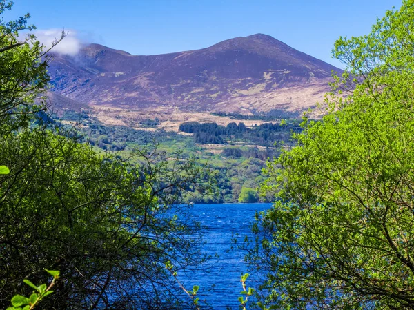 Killarney National Park - een prachtige plek in Ierland — Stockfoto