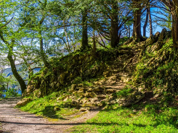 Killarney National Park - een prachtige plek in Ierland — Stockfoto