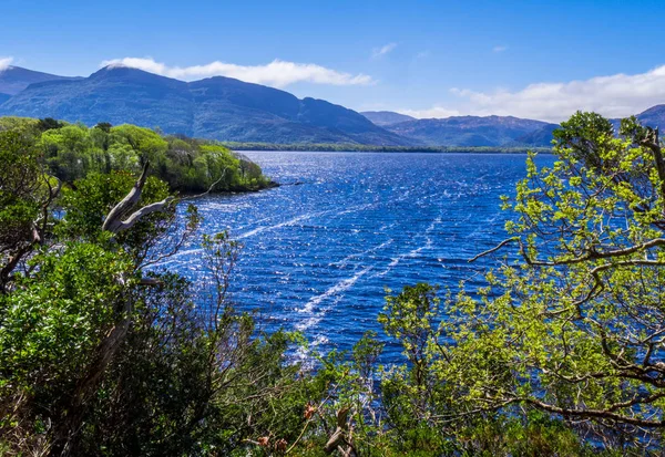 Lac bleu profond incroyable au parc national Killarney - un endroit romantique idyllique — Photo