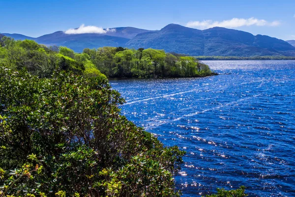 Derin mavi göl, Killarney Milli Parkı - bir pastoral romantik yer şaşırtıcı