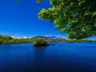 Derin mavi göl, Killarney Milli Parkı - bir pastoral romantik yer şaşırtıcı