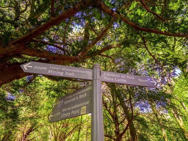 Indicaciones de dirección en el Parque Nacional Killarney — Foto de Stock