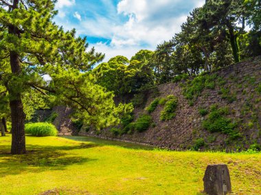 İmparatorluk Sarayı Doğu bahçeleri Tokyo