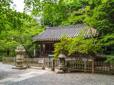 Ünlü Daibutsu Tapınağı Kamakura - Tokyo, Japonya - 12 Haziran 2018