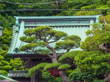 Ünlü Hase Dera Tapınağı Kamakura Japonya - Tokyo, Japonya - 12 Haziran 2018