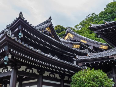 Kamakura - Tokyo, Japonya - 12 Haziran 2018 Hase-Dera Tapınağı güzel çatılar