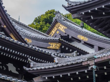 Ünlü Hase Dera Tapınağı Kamakura Japonya - Tokyo, Japonya - 12 Haziran 2018