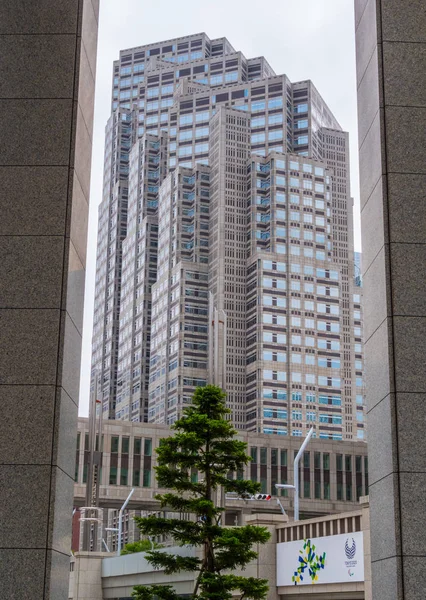新宿东京大都市政府大楼-日本东京-2018年6月17日 — 图库照片
