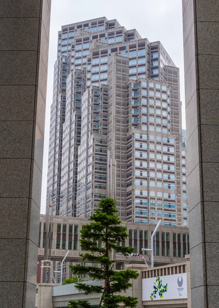 Edificio del Gobierno Metropolitano de Tokio en Shinjuku - TOKYO, JAPÓN - 17 DE JUNIO DE 2018 —  Fotos de Stock