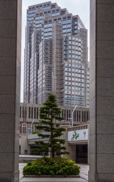 Tokyo Metropolitan Government Building a Shinjuku - TOKYO, GIAPPONE - 17 GIUGNO 2018 — Foto Stock