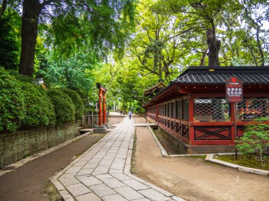 Nezu Jinja tapınak - Tokyo Bunkyo içinde ünlü Shinto tapınak - Tokyo, Japonya - 17 Haziran 2018