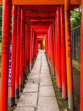Etkileyici yol Nezu Jinja tapınak Tokyo - Tokyo, Japonya - kırmızı kapılarında 17 Haziran 2018/EC