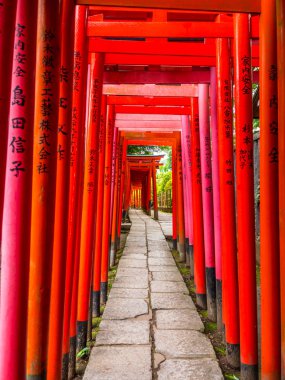 Etkileyici yol Nezu Jinja tapınak Tokyo - Tokyo, Japonya - kırmızı kapılarında 17 Haziran 2018/EC