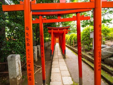 Nezu Jinja tapınak - Tokyo Bunkyo içinde ünlü Shinto tapınak - Tokyo, Japonya - 17 Haziran 2018