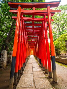 Nezu Jinja tapınak - Tokyo Bunkyo içinde ünlü Shinto tapınak - Tokyo, Japonya - 17 Haziran 2018