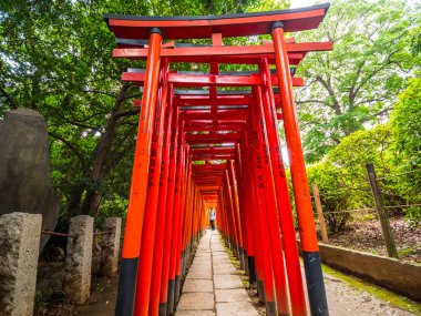 Nezu Jinja tapınak Tokyo - Tokyo, Japonya - 17 Haziran 2018 ünlü kırmızı kapı yolu