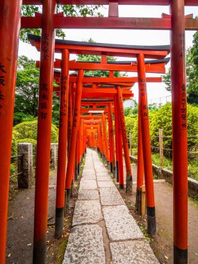 Etkileyici yol Nezu Jinja tapınak Tokyo - Tokyo, Japonya - kırmızı kapılarında 17 Haziran 2018/EC
