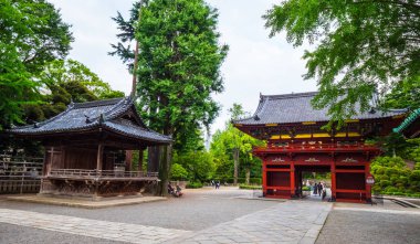 Nezu Jinja tapınak - Tokyo Bunkyo içinde ünlü Shinto tapınak - Tokyo, Japonya - 17 Haziran 2018