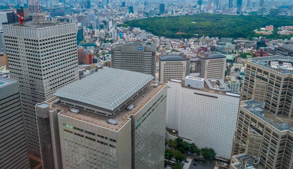 Vue aérienne sur la grande ville de Tokyo - TOKYO, JAPON - 17 JUIN 2018 — Photo