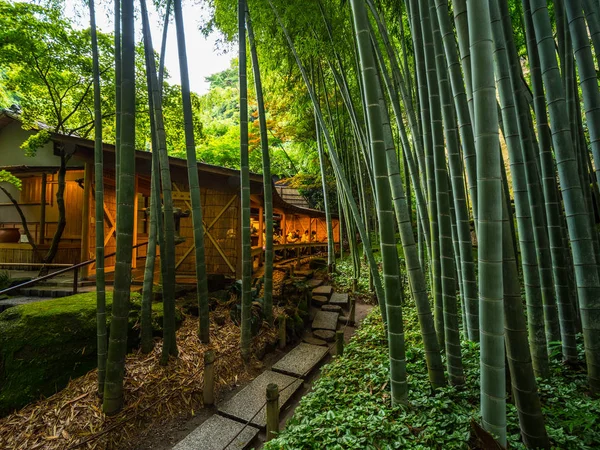 Удивительный чайный домик в японском бамбуковом лесу - ТОКИО, ЯПОНИЯ - 17 ИЮНЯ 2018 — стоковое фото