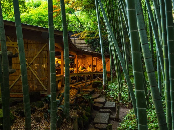 Bambusový Les v Japonsku - Skvělé místo pro rekreaci - Tokio, Japonsko - 17 červen 2018 — Stock fotografie