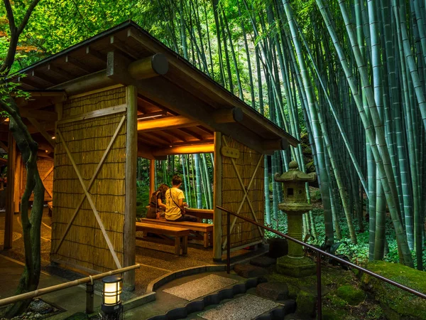 Bambusový Les v Japonsku - Skvělé místo pro rekreaci - Tokio, Japonsko - 17 červen 2018 — Stock fotografie