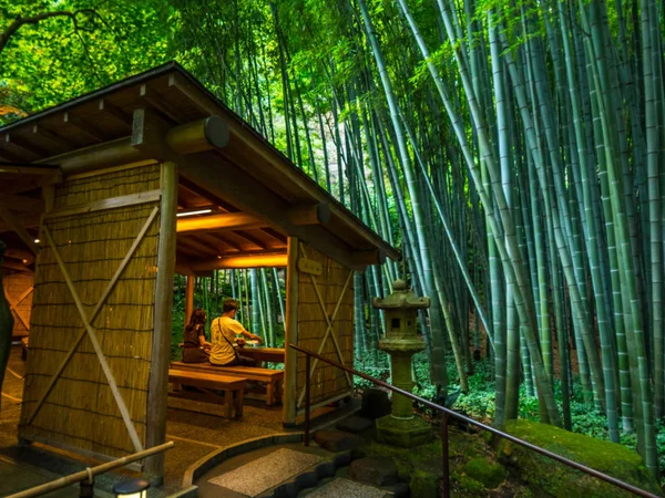 Bambusový Les v Japonsku - Skvělé místo pro rekreaci - Tokio, Japonsko - 17 červen 2018 — Stock fotografie
