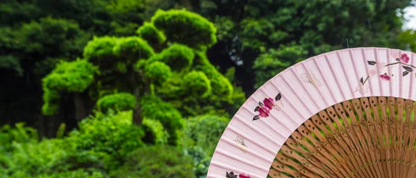 Piękny mały ogród japoński w Kamakura - Tokio, Japonia - 17 czerwca 2018 r. — Zdjęcie stockowe