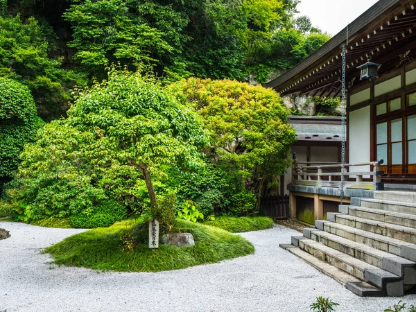 Красивий маленький японський сад у Камакура - Токіо, Японія - 17 червня 2018 — стокове фото