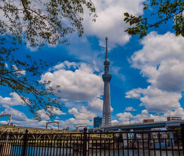 Famosa torre Skytree en Tokio - TOKYO, JAPÓN - 19 DE JUNIO DE 2018 —  Fotos de Stock