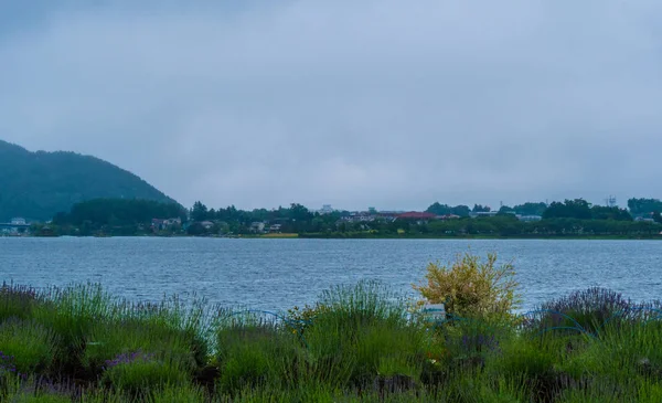Göl Kawaguchiko, Japonya - ünlü: Fujiyama Fuji Dağı