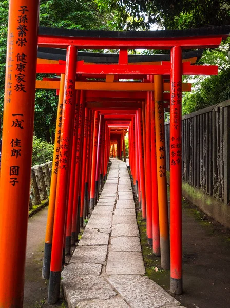 Nezu Jinja Tapınağı - Tokyo Bunkyo 'daki ünlü Shinto Tapınağı
