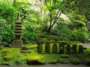 Bambu orman Japonya - eğlence için harika bir yer