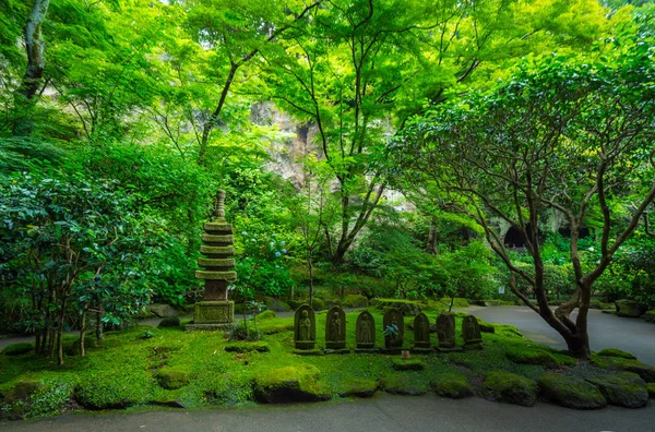 Foresta Bambù Giappone Luogo Meraviglioso Ricreazione Fotografia Viaggio — Foto Stock