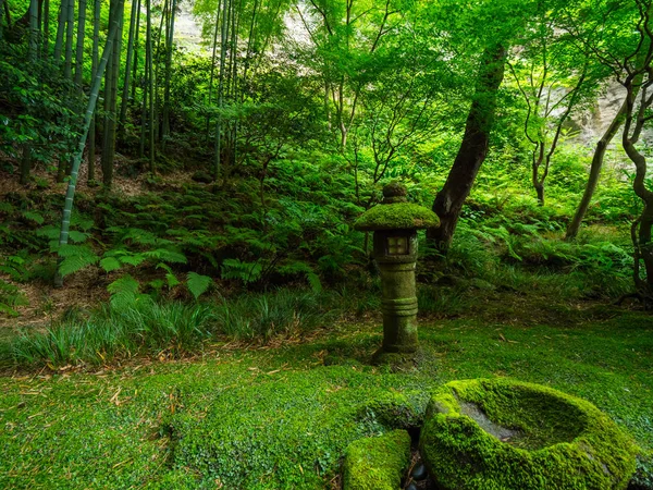 Hermoso jardín japonés en Kamakura — Foto de Stock