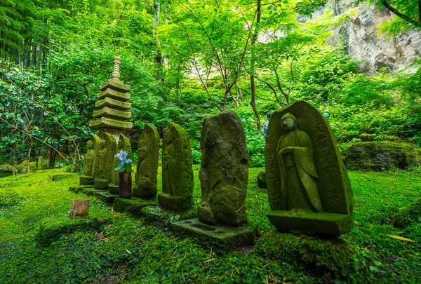 Hermoso jardín japonés en Kamakura — Foto de Stock