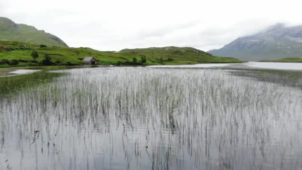 Flight over small lakes and creeks in the highlands of Scotland — Stock Video