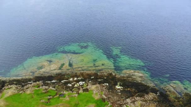 Полет над зеленой береговой линией и скалами на острове Скай в Шотландии — стоковое видео
