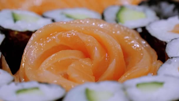 Losos Sashimi Sushi a výběr maki — Stock video