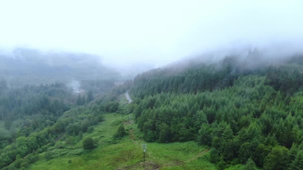 Vuelo sobre un bosque en la niebla en las Highlands escocesas — Vídeo de stock