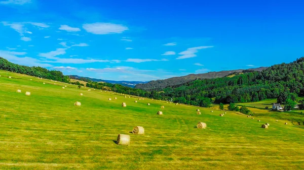 Grüne Felder und Ackerland mit Heuballen in Schottland — Stockfoto