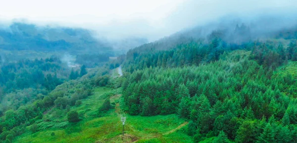 Jodła Las we mgle w Highlands of Scotland — Zdjęcie stockowe