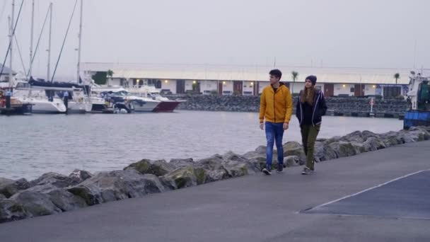 Двое друзей прогуливаются по гавани Дингл в Ирландии — стоковое видео