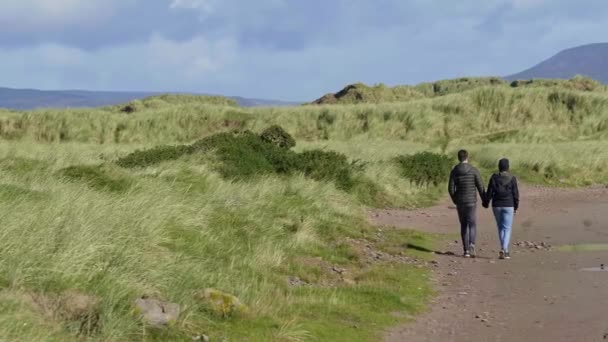 Um passeio de mãos dadas através da grama verde da Irlanda — Vídeo de Stock