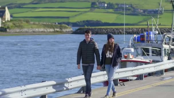 Mladý pár se ruku v ruce prochází přístav — Stock video