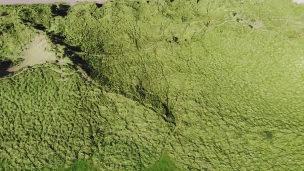 Flight over the green grassy dunes at the Irish coast — Stock Video