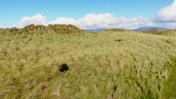 Vlucht over de graslanden op de Ierse westkust — Stockvideo