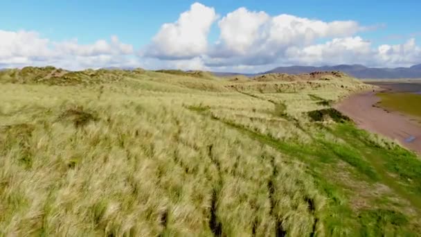Tiefflug über die Dünen an der Westküste Irlands — Stockvideo