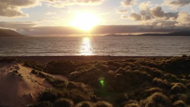 Volo Lungo Spiaggia Tramonto — Video Stock